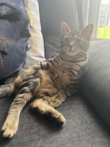 Lola-min