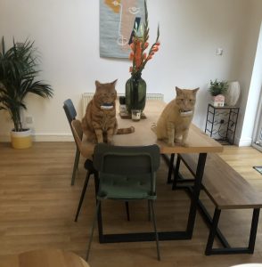 Rudy & Rory-min